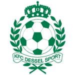 logo Dessel Sport