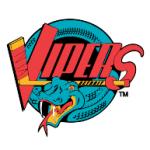 logo Detroit Vipers