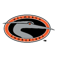 logo Delmarva Shorebirds(199)