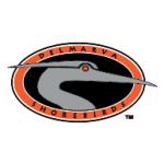 logo Delmarva Shorebirds(199)