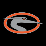 logo Delmarva Shorebirds(200)