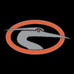 logo Delmarva Shorebirds(200)