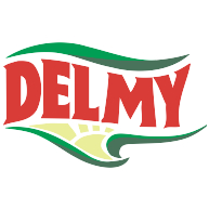 logo Delmy