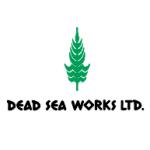 logo Dead Sea Works