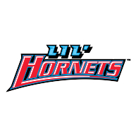 logo Delaware State Hornets(185)