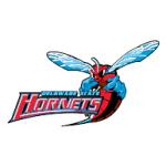 logo Delaware State Hornets(188)