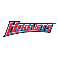 logo Delaware State Hornets(190)