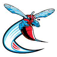 logo Delaware State Hornets(191)