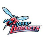 logo Delaware State Hornets(193)