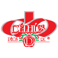 logo Delhus