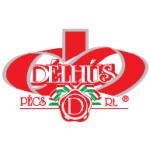 logo Delhus