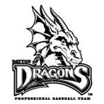 logo Dayton Dragons(122)