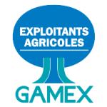 logo Gamex(46)