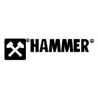 logo Hammer(41)