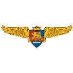 logo Hastings Aviation(146)