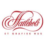 logo Hatlehols