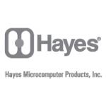 logo Hayes(167)