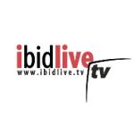 logo ibidlive TV