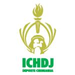 logo ICHDJ