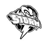 logo Lake Elsinore Storm(49)