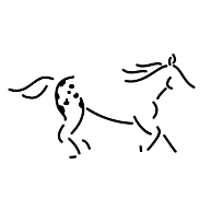 logo Walkaloosa Horse Ranch