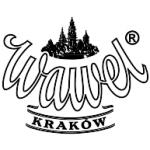 logo Wawel Krakow(70)