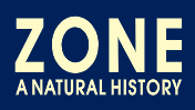 logo Zone