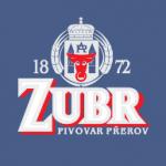 logo Zubr