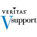 logo Veritas(142)