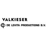 logo Valkieser