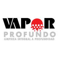 logo Vapor Profundo