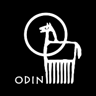 logo Odin Fond