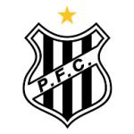 logo Palmeiras Futebol Clube de Sao Joao da Boa Vista-SP