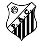 logo Palmital Atletico Clube de Palmital-SP