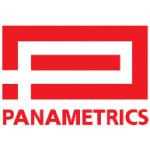 logo Panametrics